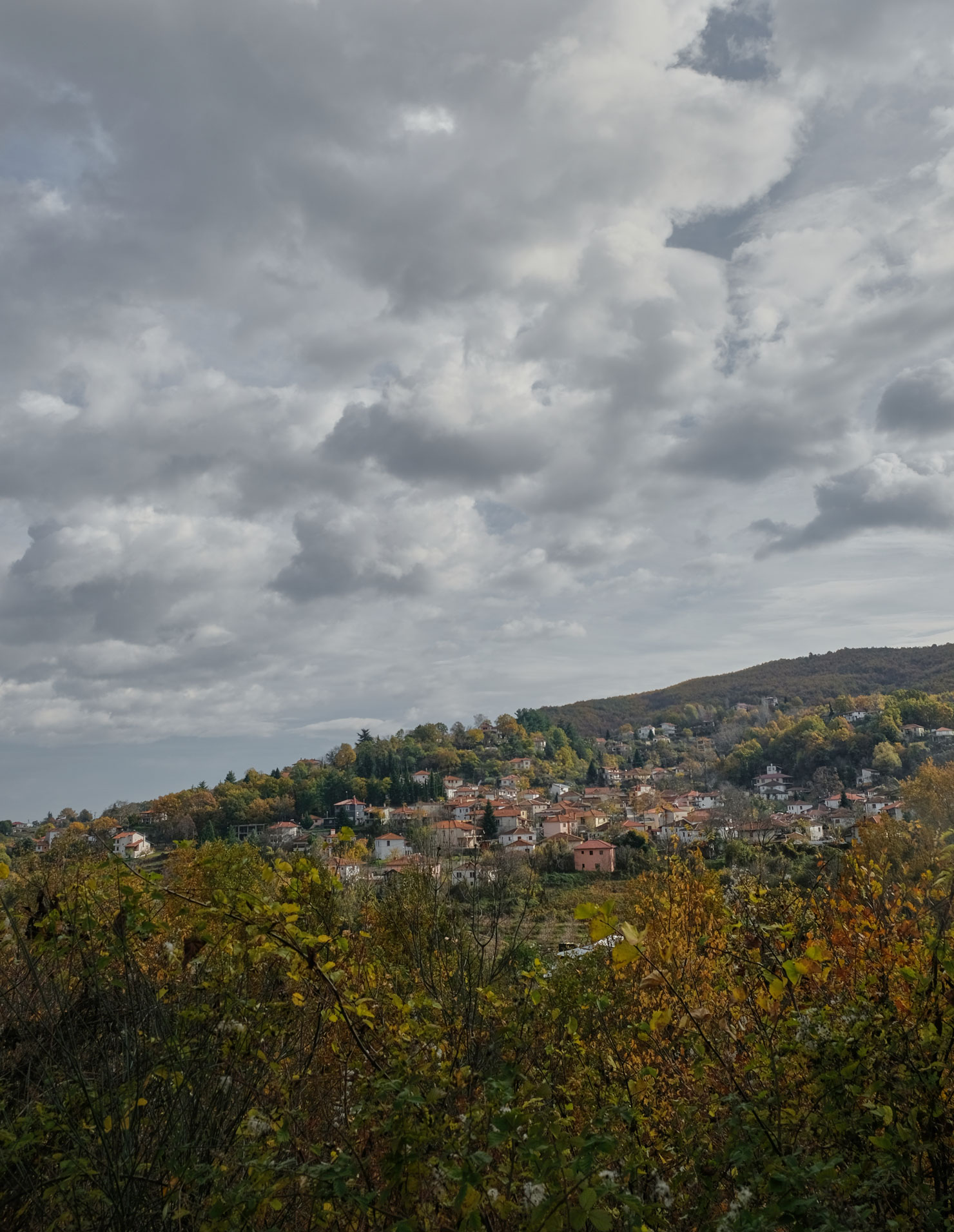 Fytia | Vineyards | Greece