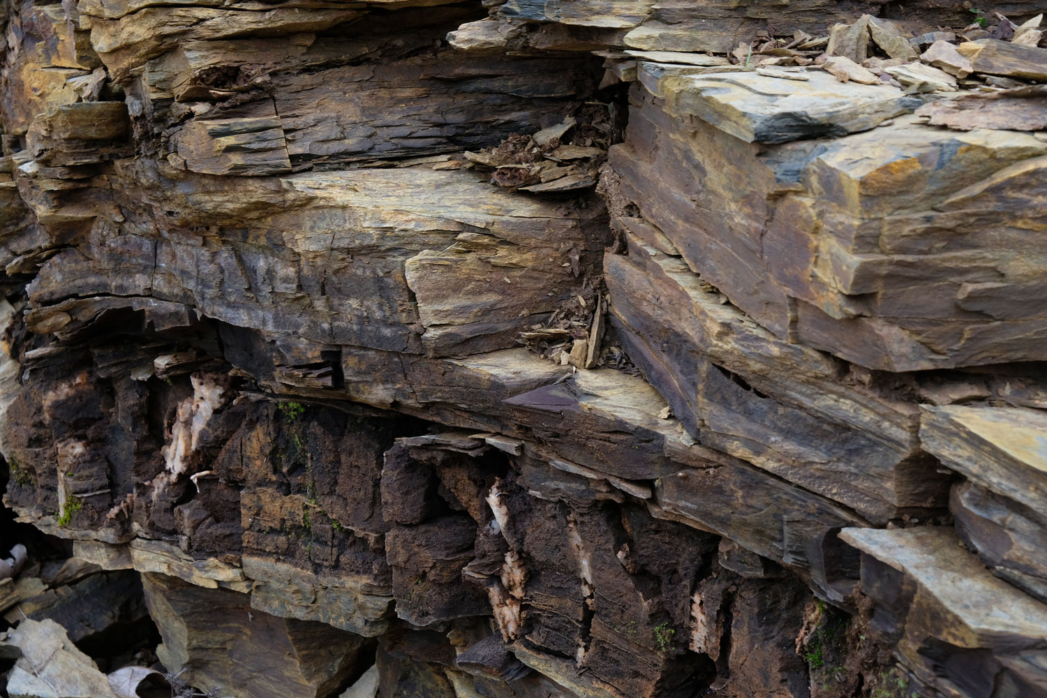 Fytia | Vineyards | Greece