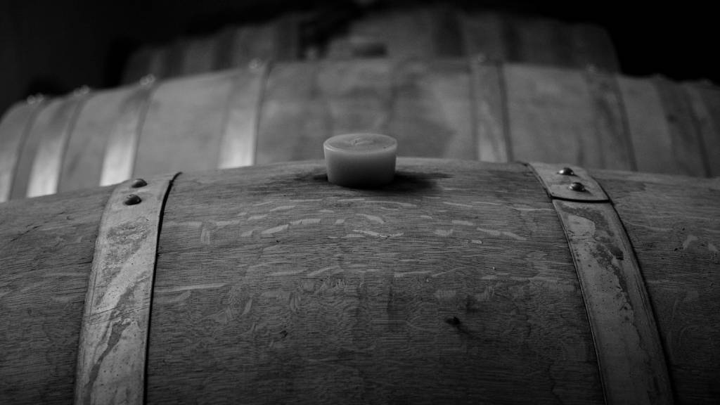 Oak barrels | Vineyards | Greece