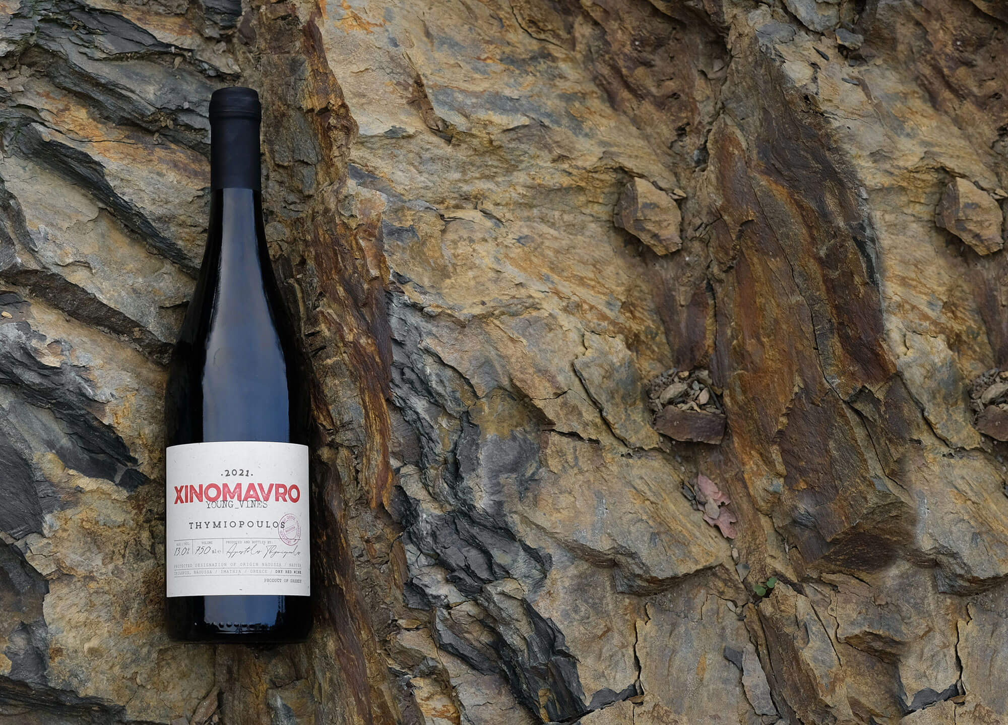 Young Vines 2021_foto